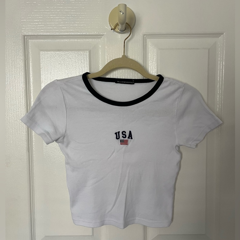 Brandy Melville USA Crop Top